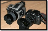 Hasselblad and 5D - 2