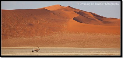 Namib Dunes and Oryx. Flemming Bo Jensen Photography