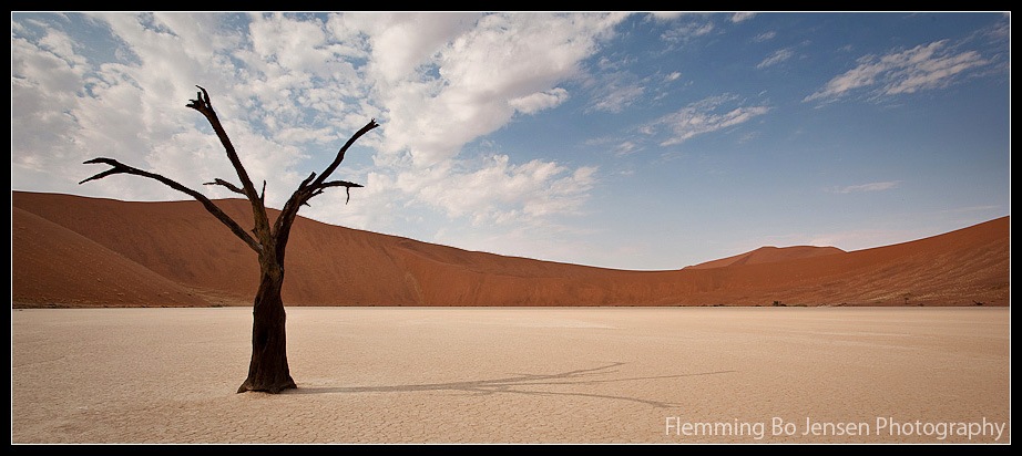 Featured image for “Namib Desert. Desert is home.”