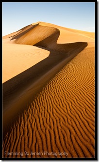 Dunescape. Flemming Bo Jensen Photography