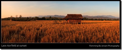 Laos Field of Dreams. Flemming Bo Jensen