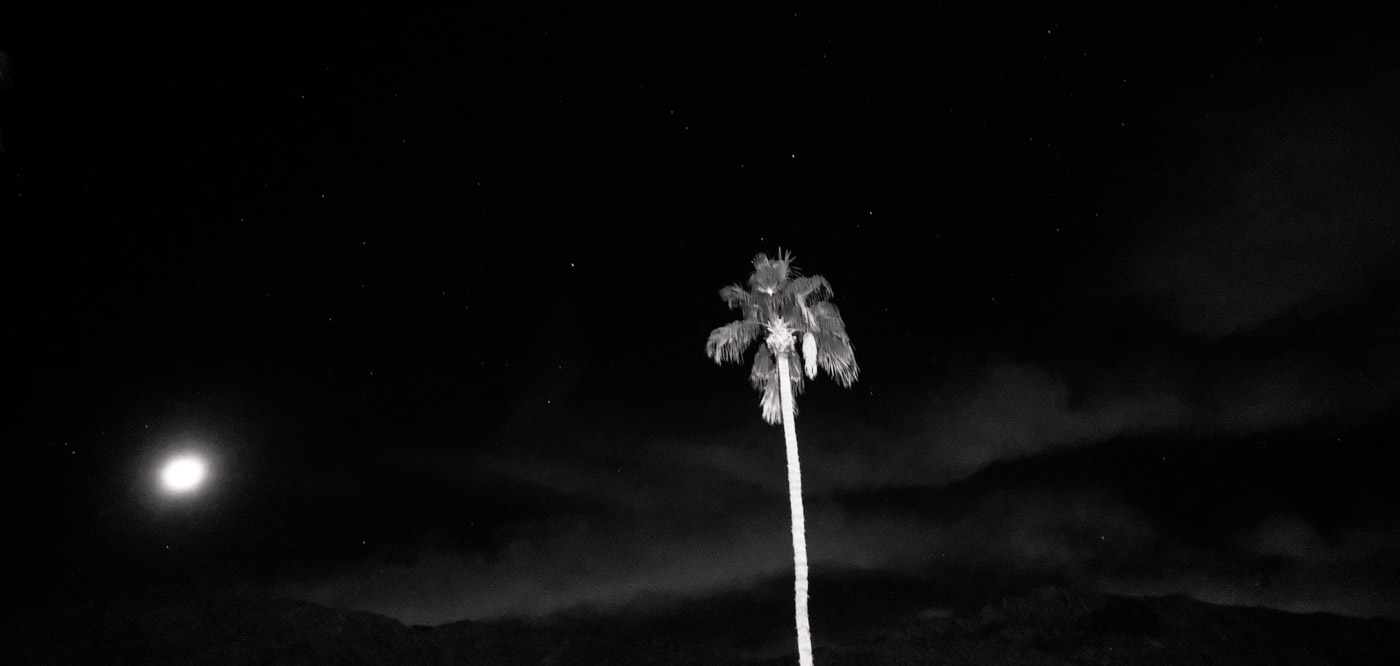 ISO 12 million or something on the amazing Fujifilm X-Pro2 - in Palm Springs.