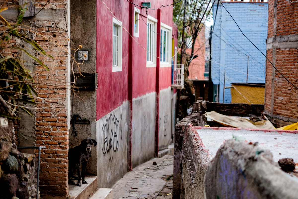 The small pedestrian and donkey only streets are called Callejons - this is right outside our home in Guanajuato.